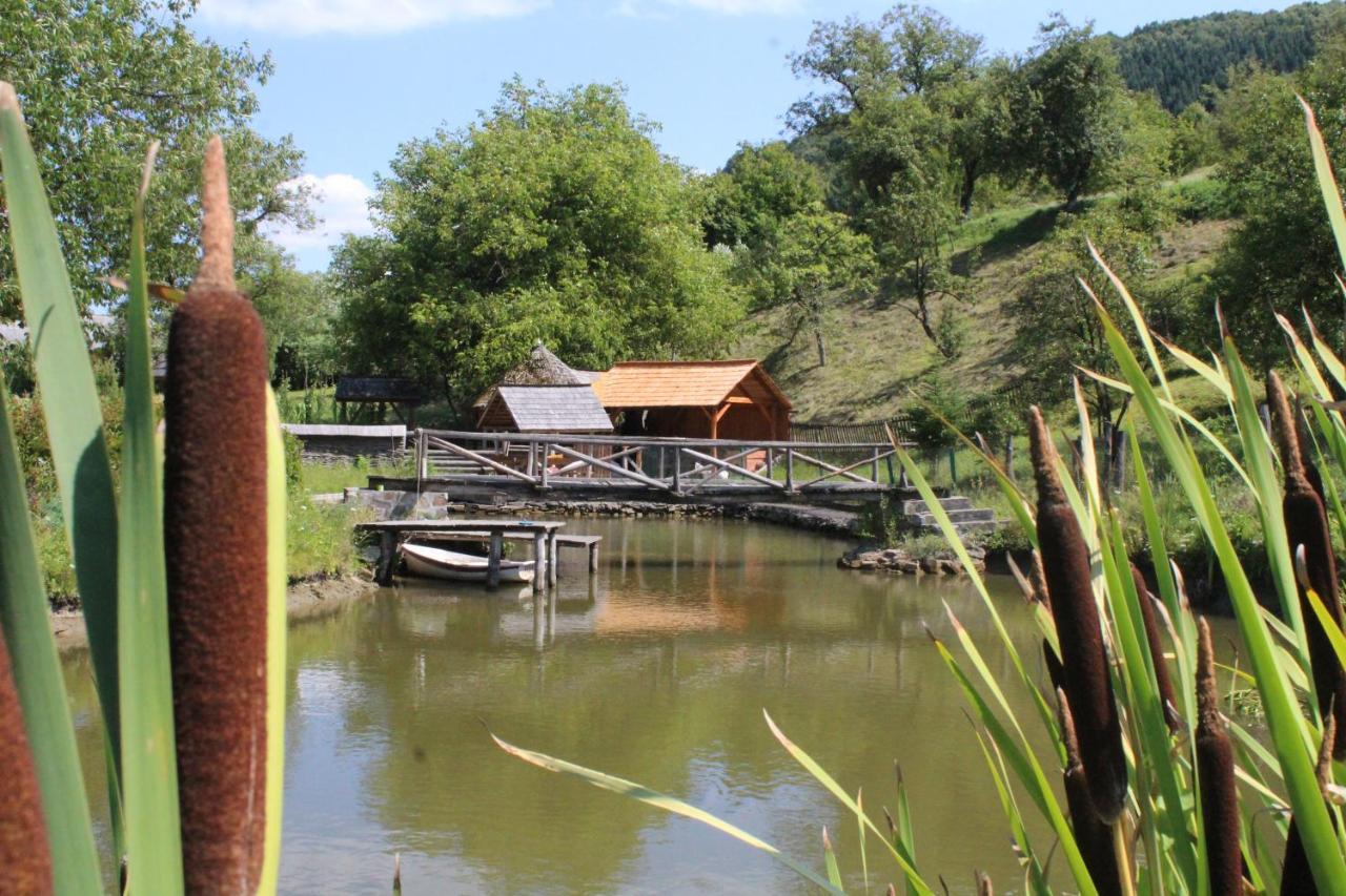 Pensiunea Ioana Vadu Izei Exterior foto