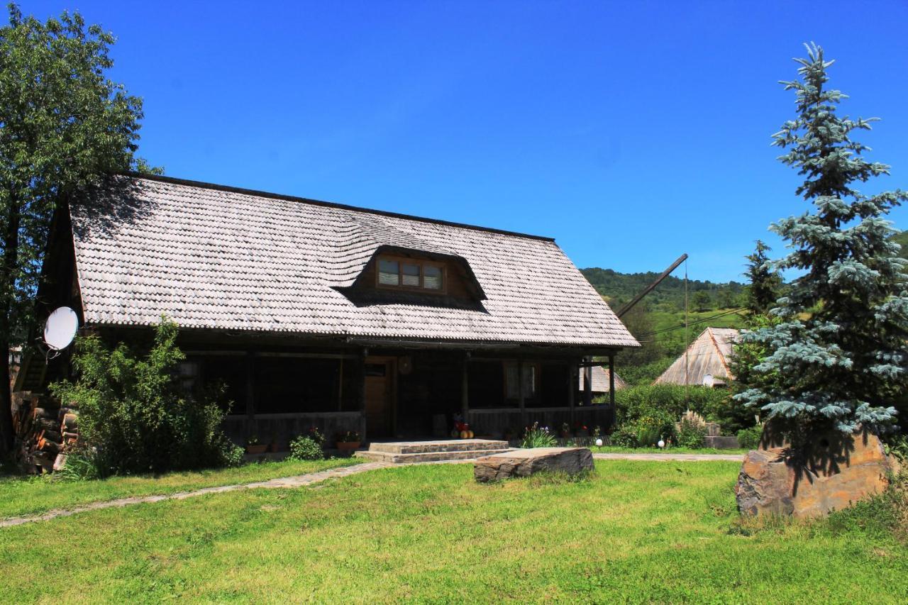 Pensiunea Ioana Vadu Izei Exterior foto